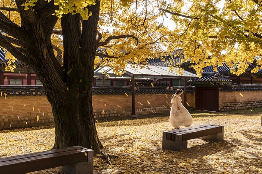 Title: Discovering Heritage: The Transformative Rise of Cultural Tourism